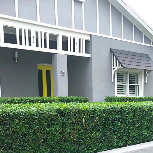 residential_hedge_lawn