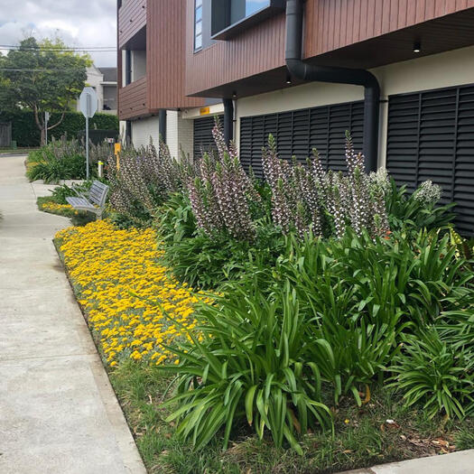 commercial_garden_cleaning