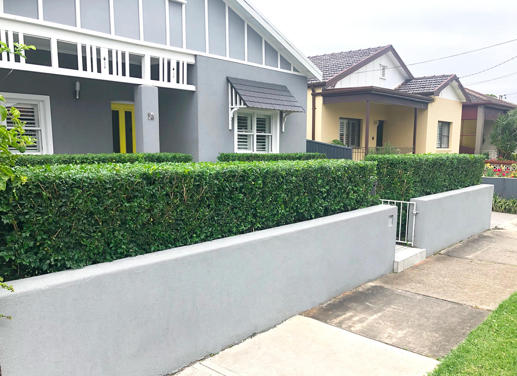residential_lawn_hedge