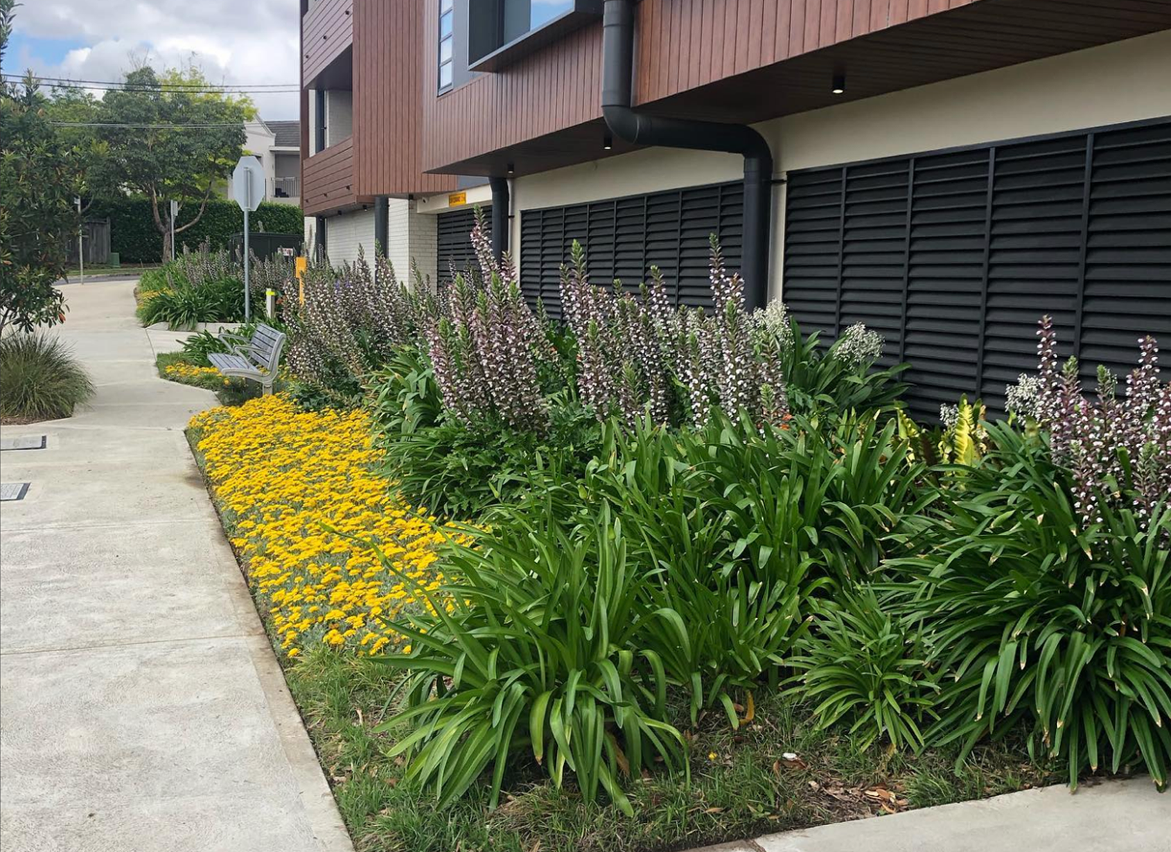 commercial_garden_cleaning